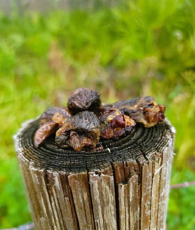 Dehydrated Chicken Hearts