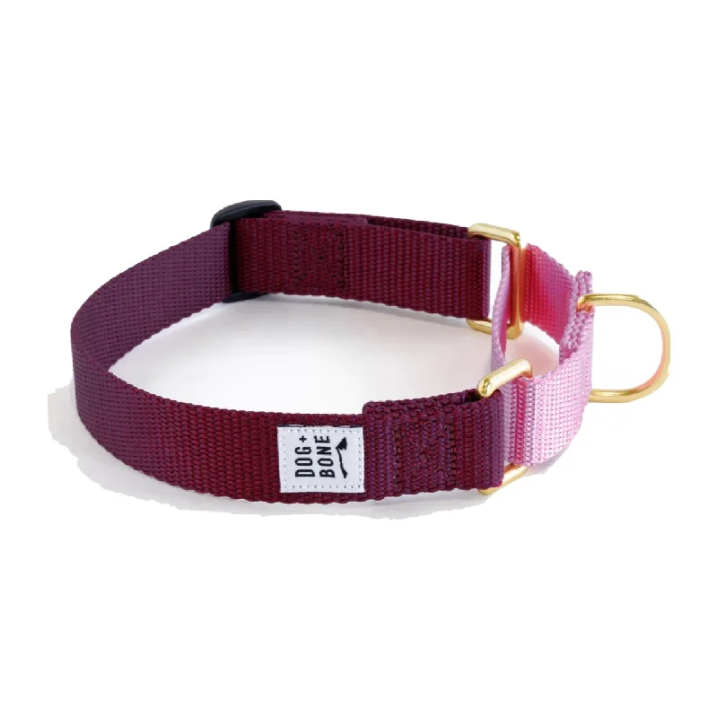 Dog+Bone Martingale Collar Purple & Orchid