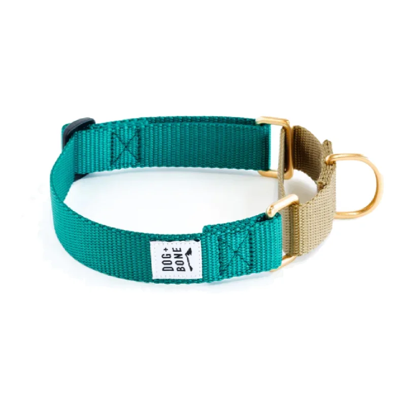 Dog+Bone Martingale Collar Teal & Gold