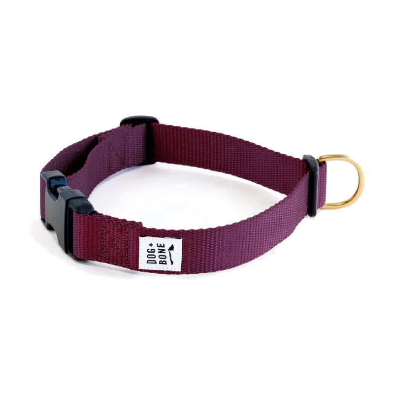 Dog+Bone Adjustable Snap Collar Purple