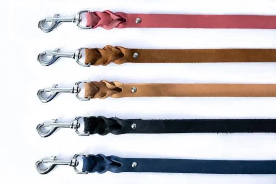 Elegant Style Soft Leather Braided Dog Leash from Euro Dog