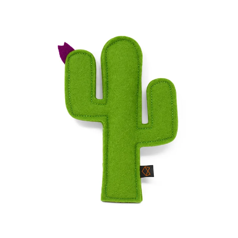 Kitty Cactus