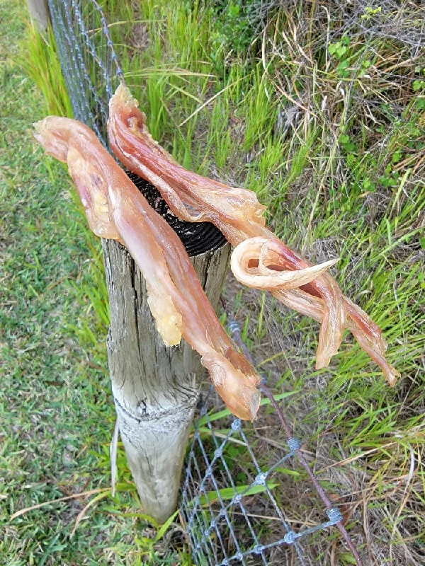 Meaty Beef Tendon-Large