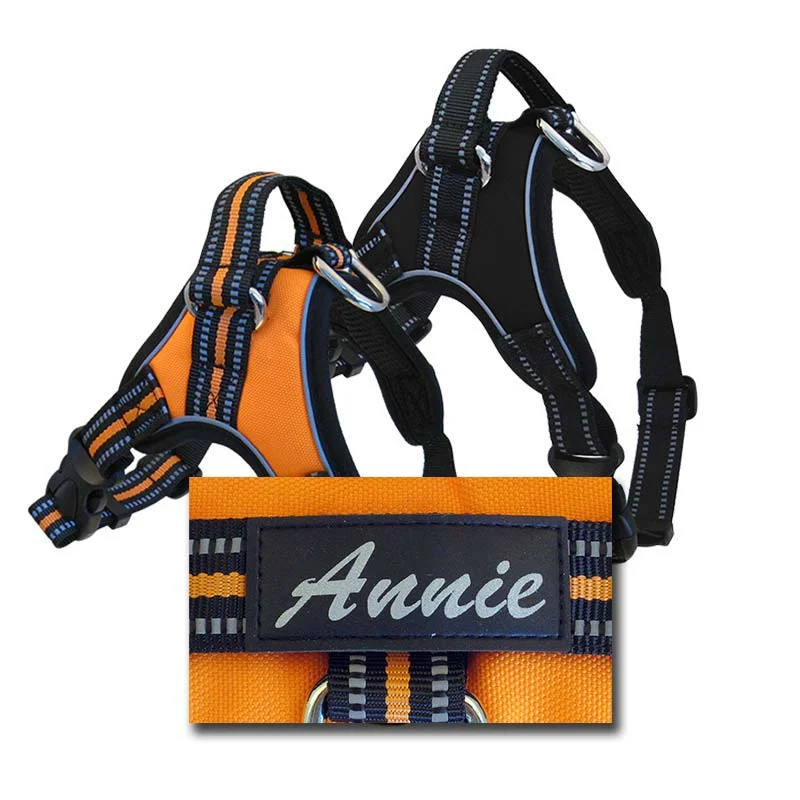 Personalized Sport Harness for Dogs