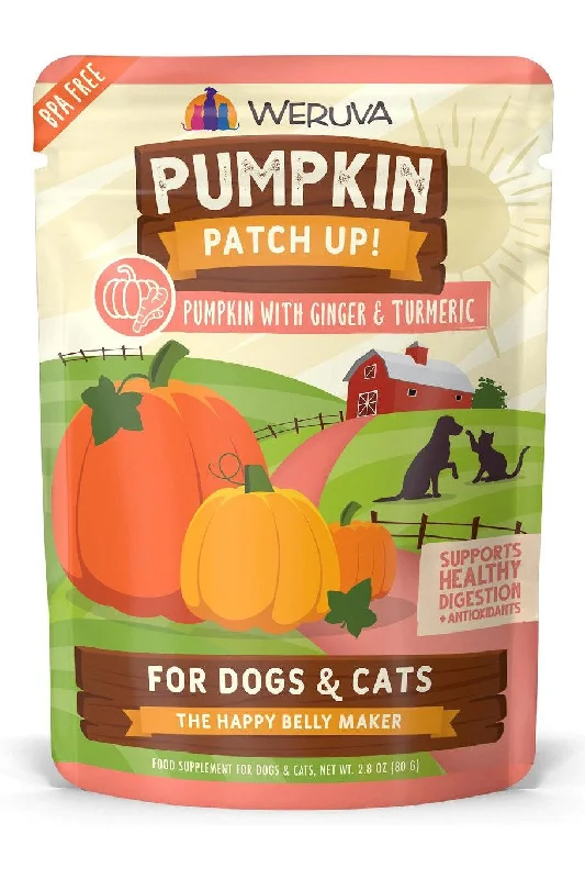 Weruva Pumpkin Patch Up! Ginger & Turmeric Supplement for Cats