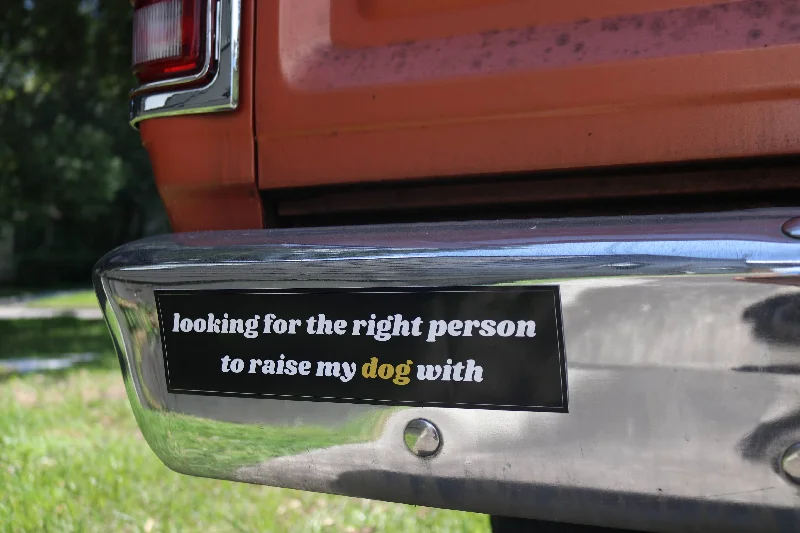 BARK JAX - Looking For The Right Person Bumper Sticker