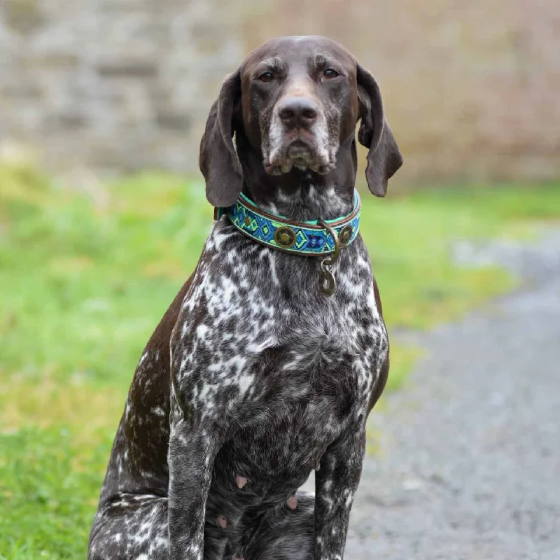 Boho Juan Dog Collar by DWAM