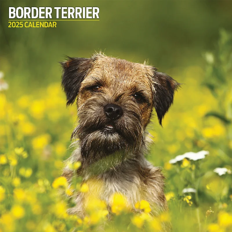 Border Terrier Traditional Calendar 2025