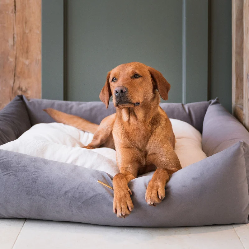 Box Bed In Silt Velvet by Lords & Labradors