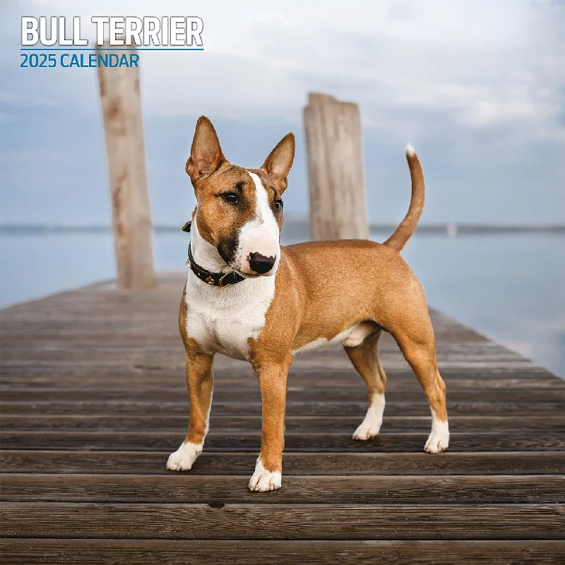 Bull Terrier Traditional Calendar 2025