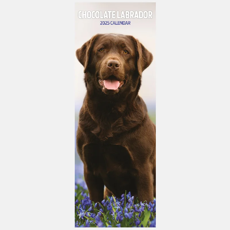 Chocolate Labrador Slim Calendar 2025