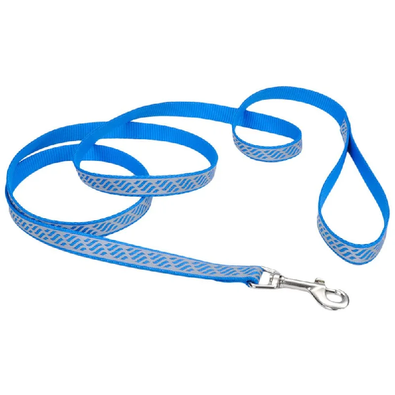 Coastal Pet Lazer Brite Dog Leash, 6' x 1"