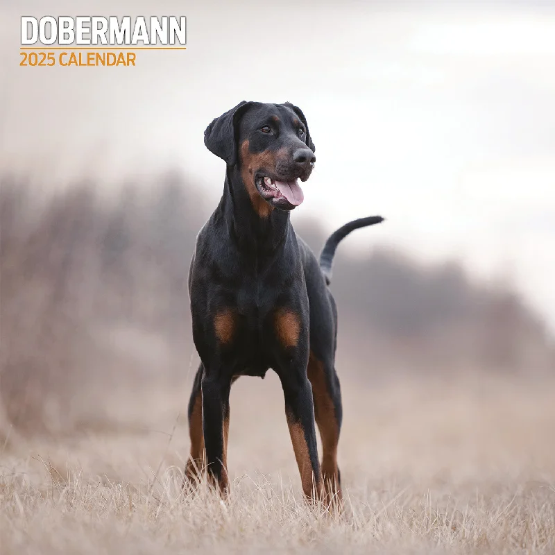 Doberman Traditional Calendar 2025