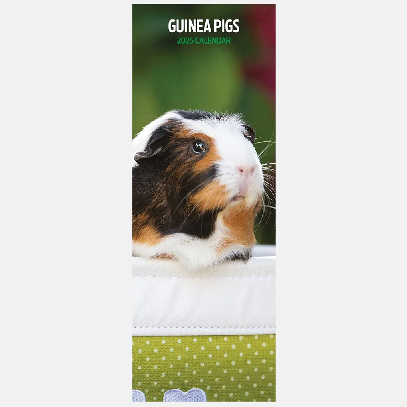 Guinea Pig Slim Calendar 2025