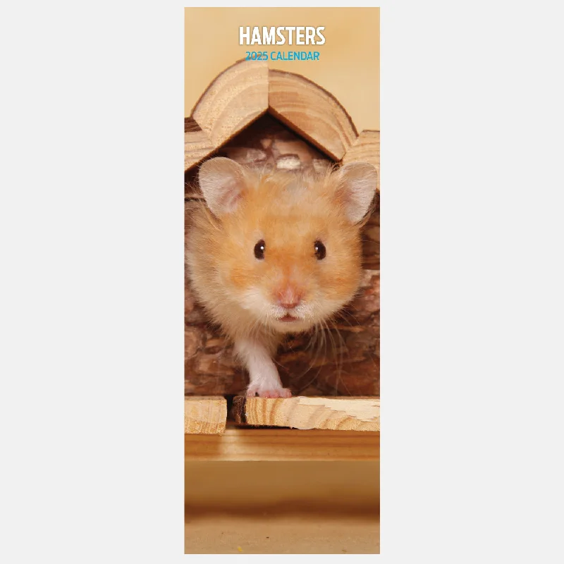 Hamsters Slim Calendar 2025