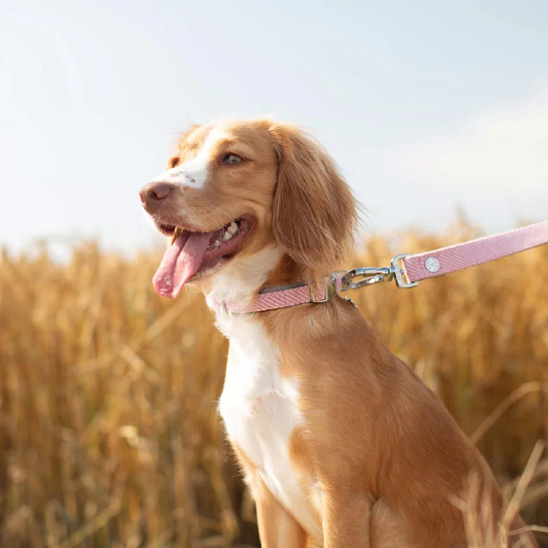 Hugo & Hudson Pink Herringbone Collar