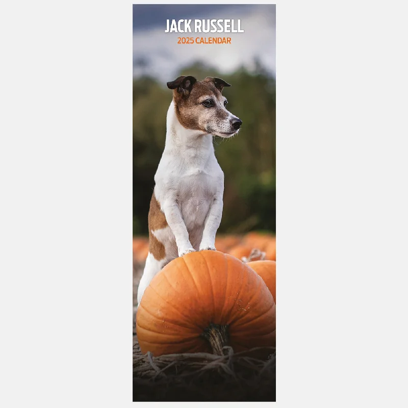 Jack Russell Slim Calendar 2025