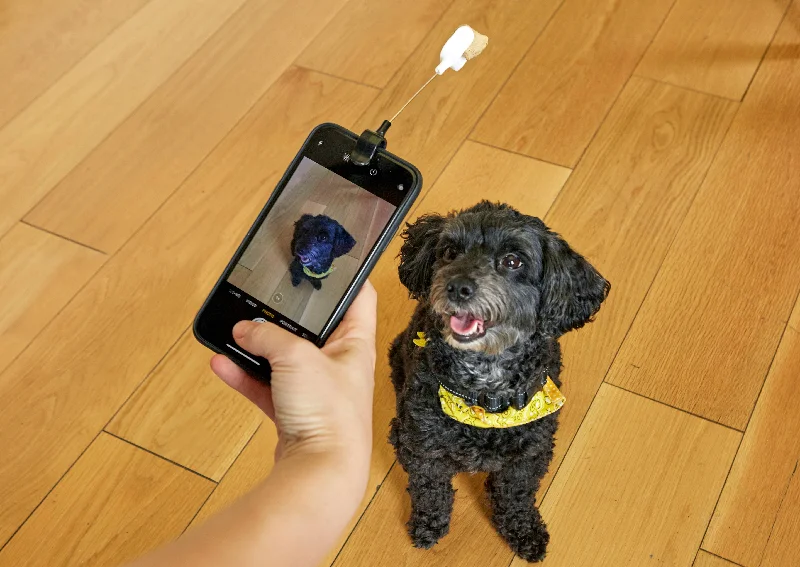 Kikkerland Design Inc - Dog Treat Selfie Clip