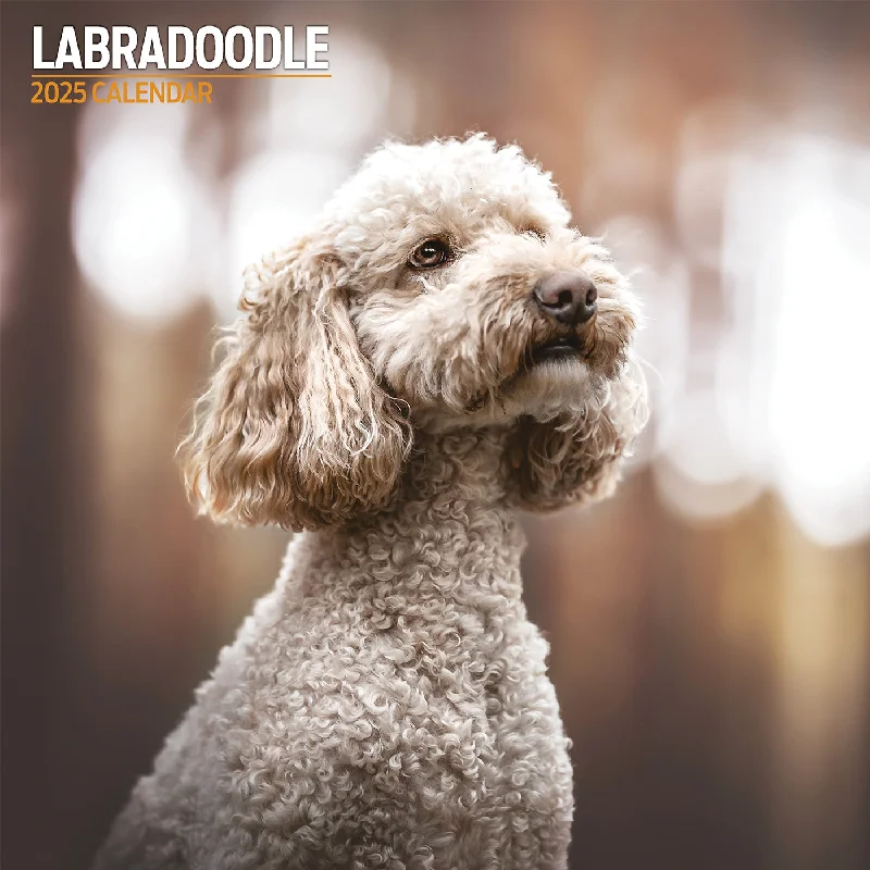 Labradoodle Traditional Calendar 2025