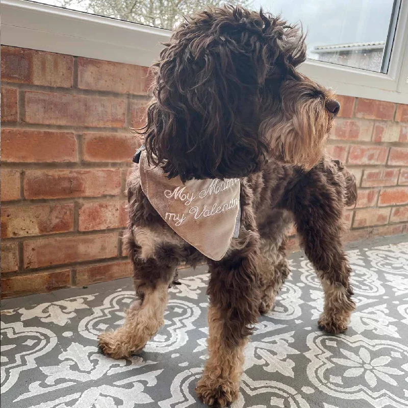 'My Mum Is My Valentine' Bandana in Mushroom Velvet by Lords & Labradors