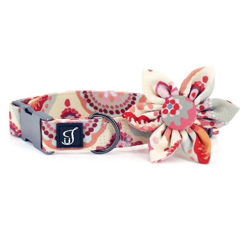 Orange Daisy Dog Collar with Flower