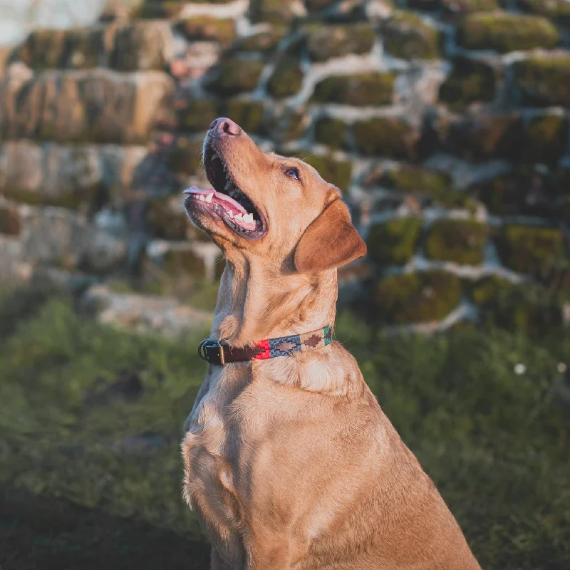 Pampeano Navidad Dog Collar