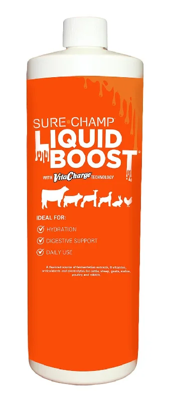 Vita Charge Liquid Boost