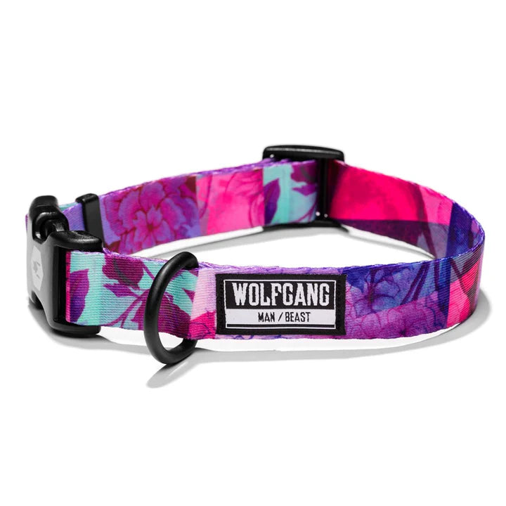 Wolfgang Dog Collar - DayDream